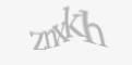 Защитный код