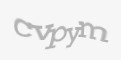 Защитный код
