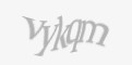 Защитный код