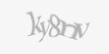 Защитный код